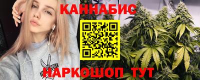 jwh Кингисепп