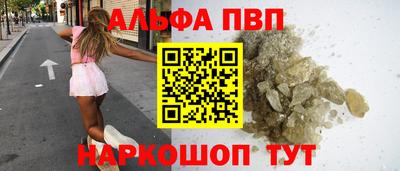 jwh Кингисепп