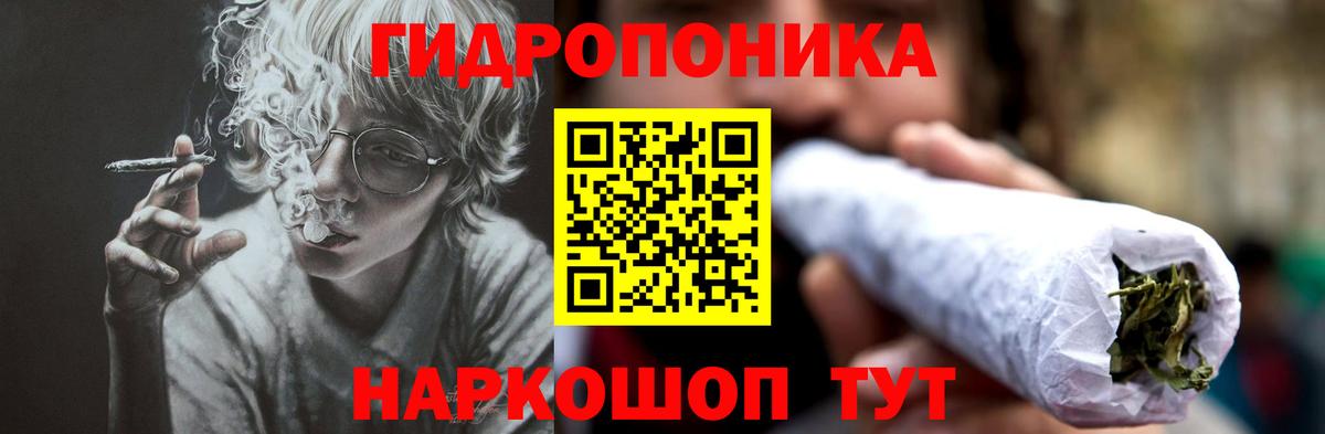 Бошки марихуана гибрид  Конопля VHQ  Вход с VPN  Элиста  Каннабис семена 